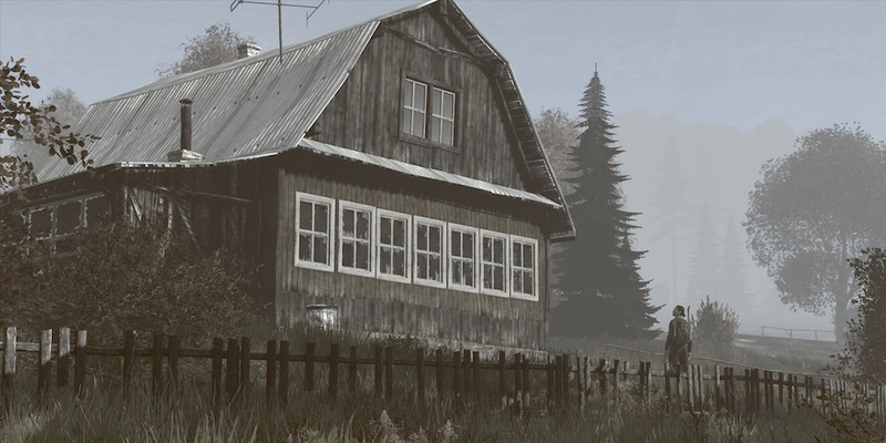 Illustration for article titled ​Photos From The Frontlines of DayZ
